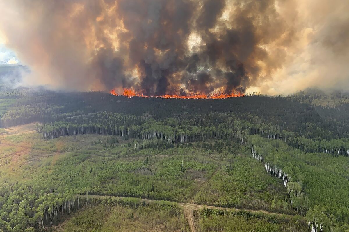 incendios forestales en canadá generaron un récord de emisiones de carbono Canadá, que por su situación geográfica se calienta más rápidamente que el resto del planeta, se enfrenta en estos últimos años a fenómenos meteorológicos extremos cuya intensidad y frecuencia aumentan por el cambio climático.