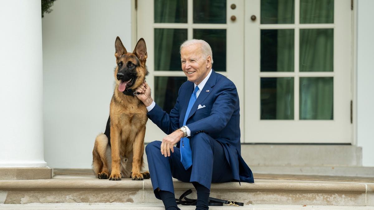 el perro de biden lo vuelve a hacer; es sacado de la casa blanca con posibilidad de no volver Elizabeth Alexander, portavoz de la primera dama, Jill Biden, confirmó la expulsión a varios medios estadounidenses.