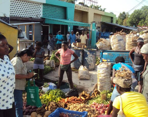 Consideran que hay que reinventar el comercio con el vecino país Haití

Muestran preocupación por importación de productos para Navidad
