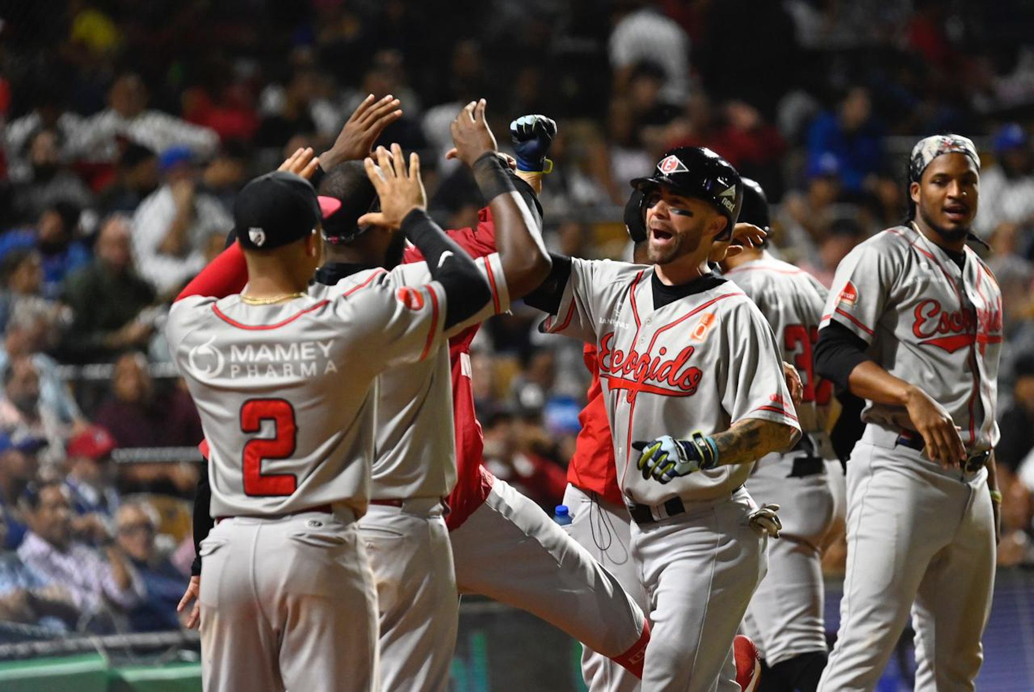 Leones ganan un juego grande y empatan en el segundo lugar con el Licey