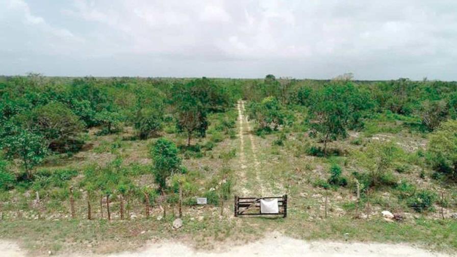 imagen-aeropuerto-bavaro-5e413ca1-focus-0-0-896-504