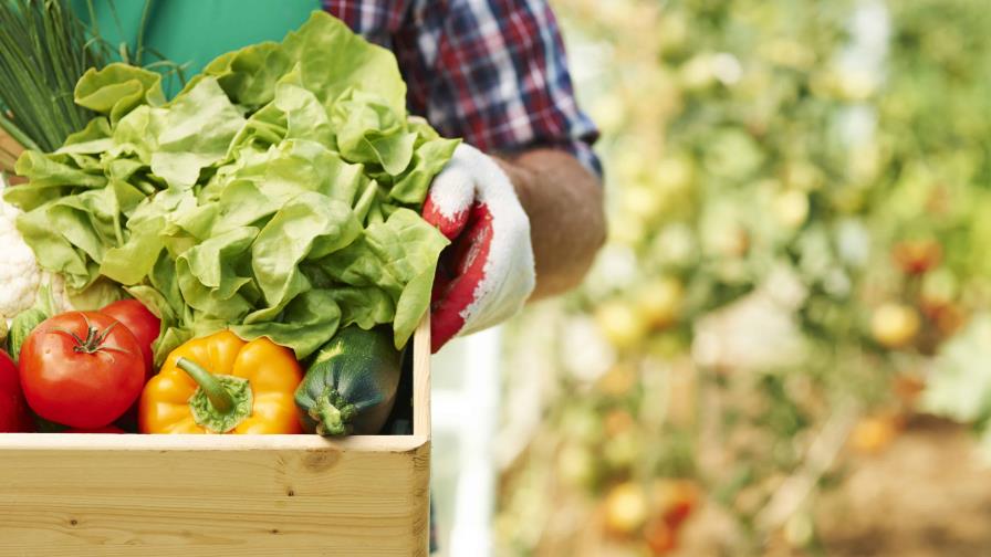 close-up-of-box-with-ripe-vegetables-ddc5b2e0-focus-min0.31-0.17-896-504