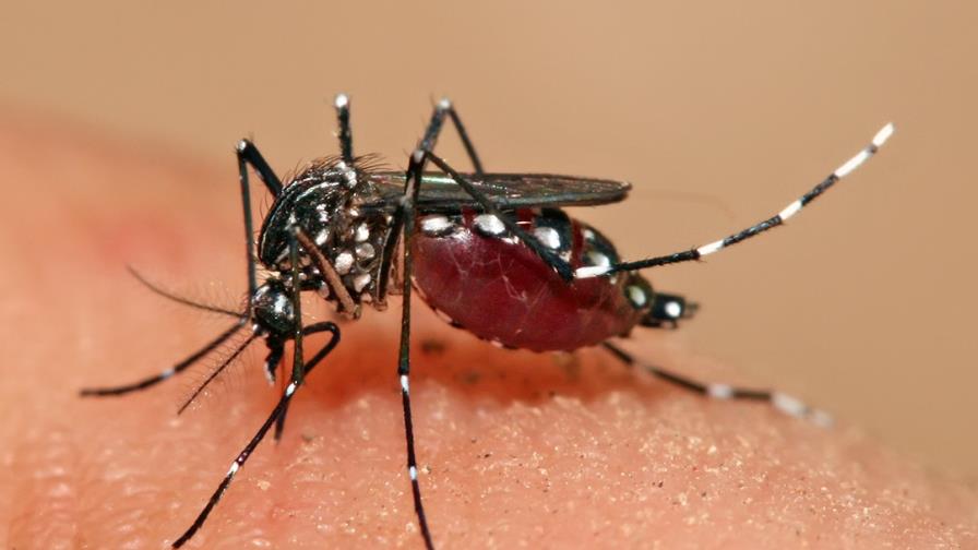 EE.UU. suspende licencia de venta de vacuna contra chikunguña por serios efectos secundarios