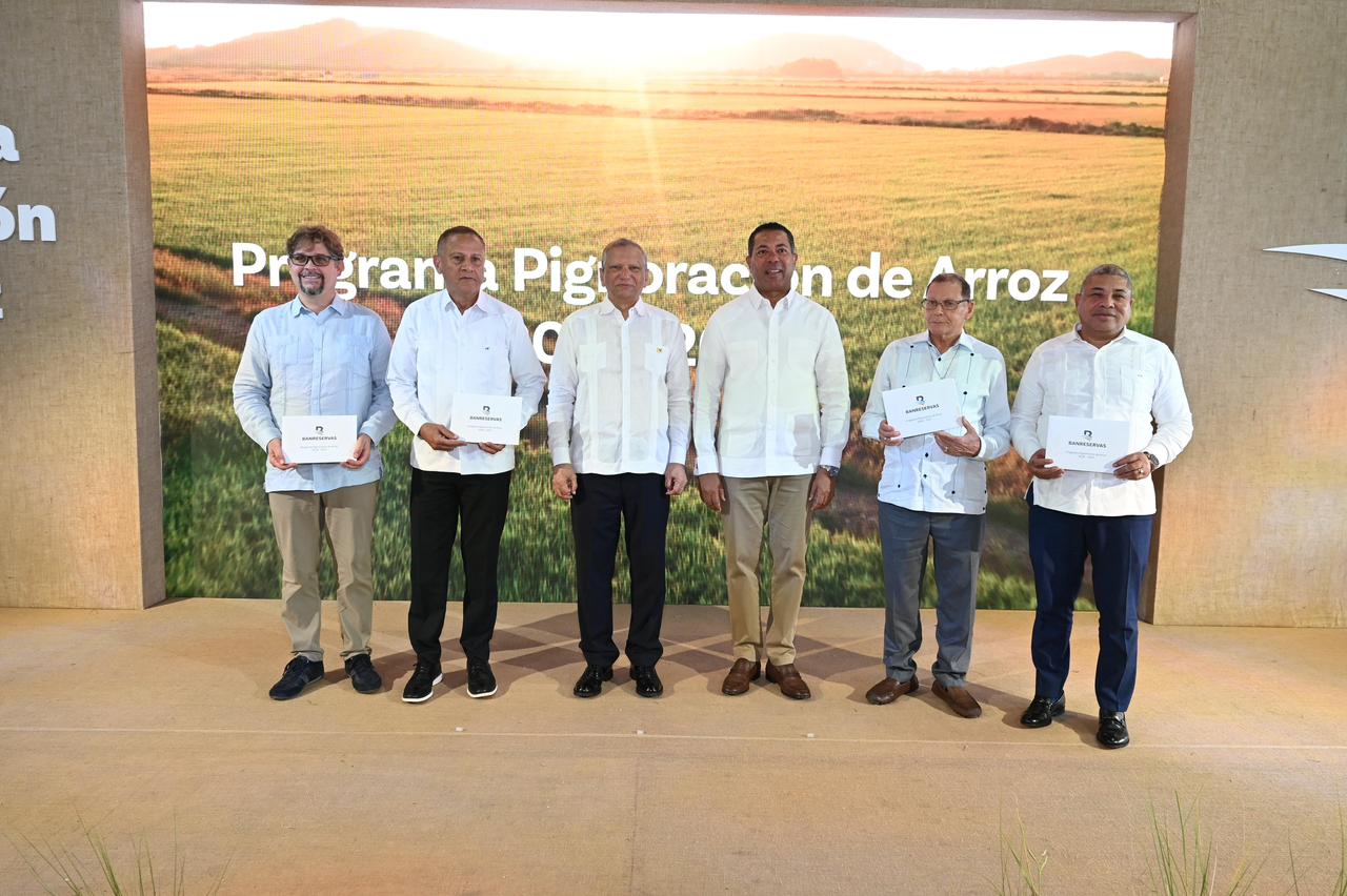 Destinan RD$12,000 millones para financiar producción de arroz