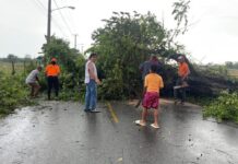 Realizan levantamiento de daños tras lluvias y fuertes vientos en Dajabón